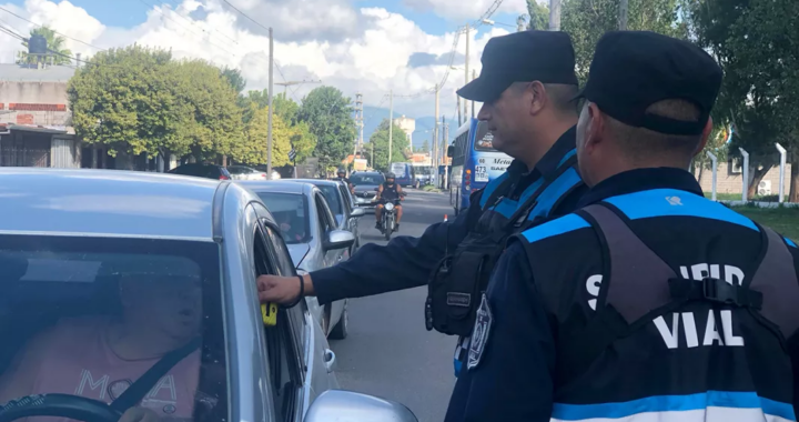 Más de 230 conductores infraccionados por circular alcoholizados