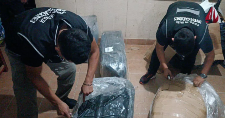 Detuvieron en Mosconi a miembros de una organización criminal que vendían motopartes robadas