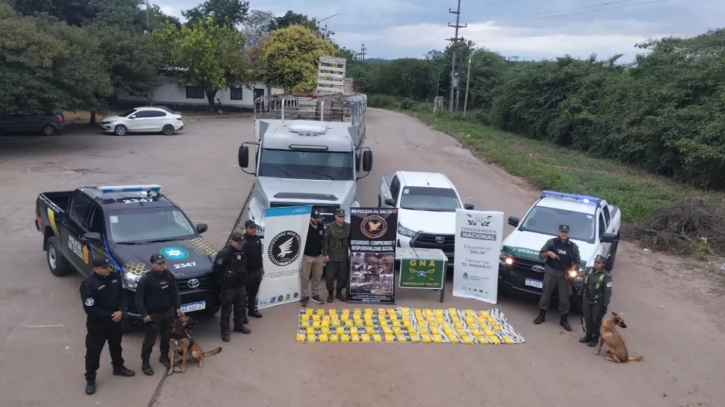 Más de 84 kilos de cocaína decomisados en el sur provincial