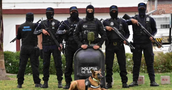 Más de 290 kilos de droga fueron decomisados por la Policía de Salta