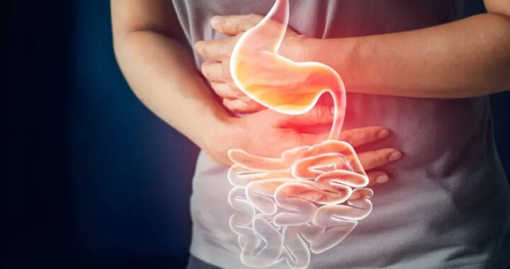 El alimento natural ideal para la digestión y el cansancio diario