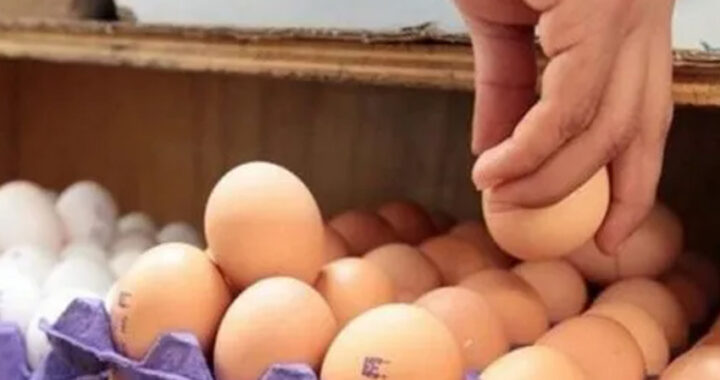 Comer huevos: ¿cuánto es mucho y cuánto es saludable?
