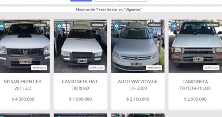 Se subastaron más de 200 vehículos