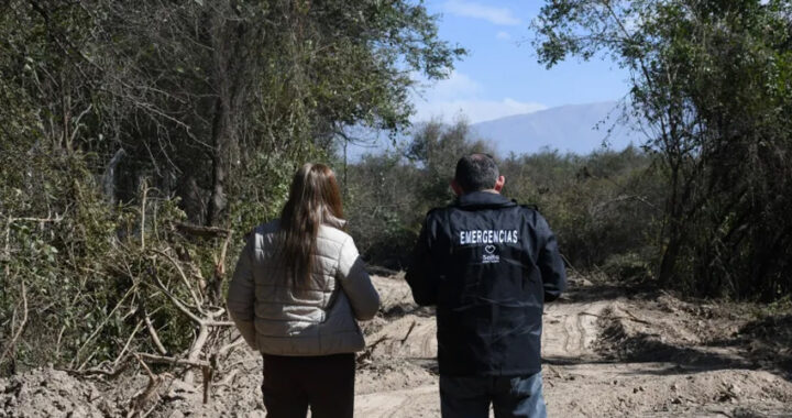La Municipalidad abrió un cortafuego en un área de alta vegetación para prevenir incendios