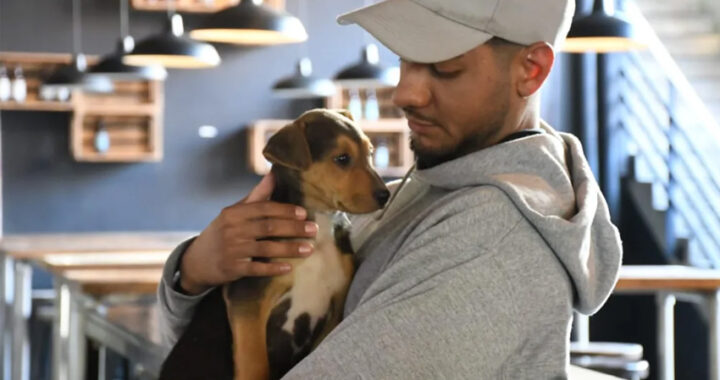 Seis perros fueron adoptados en una nueva jornada ‘Pet Friendly’