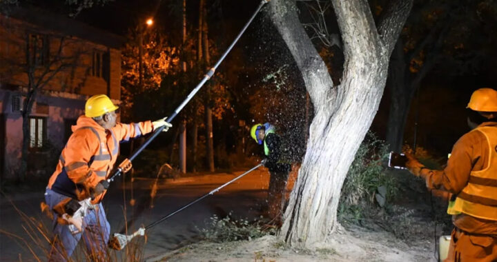 Realizaron tareas de poda nocturna en Finca Valdivia para mejorar la seguridad