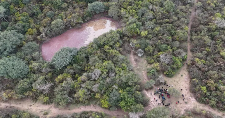 En la ‘semana del ambiente’ – Aprendizaje verde: alumnos técnicos recorren el EcoParque