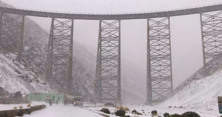 Una postal inolvidable: el Tren a las Nubes atravesó una tormenta de nieve histórica