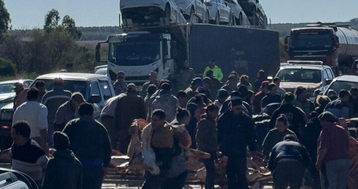 Volcó un camión con carne en Entre Ríos y la gente saqueó las reses: impactante video