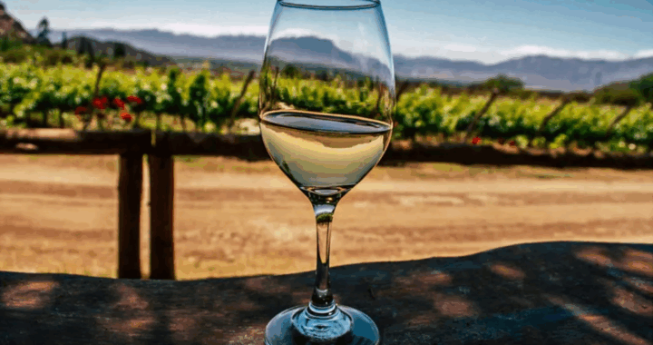 Se presentará una nueva edición de la feria de vinos “Degustar”