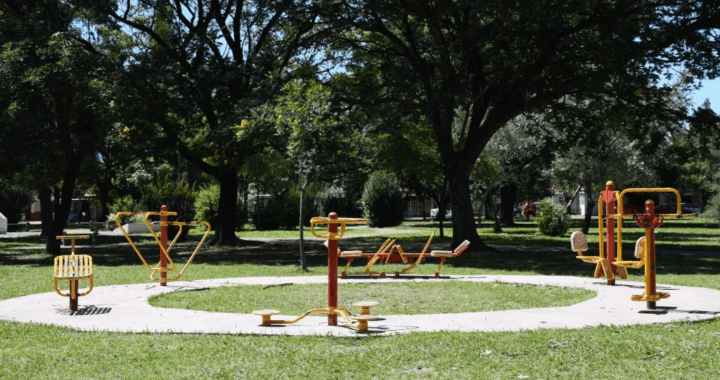 Se conocieron las primeras propuestas para el programa «Impulso Plaza»