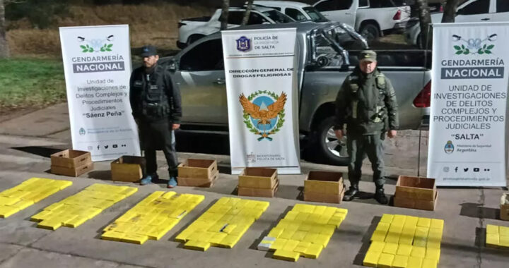 Más de 172 kilos de cocaína incautados y cinco detenidos en un operativo conjunto entre la Policía de Salta y Gendarmería Nacional