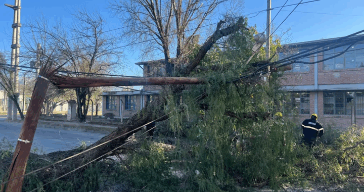 Más de 120 incidentes en la ciudad por las fuertes ráfagas de viento