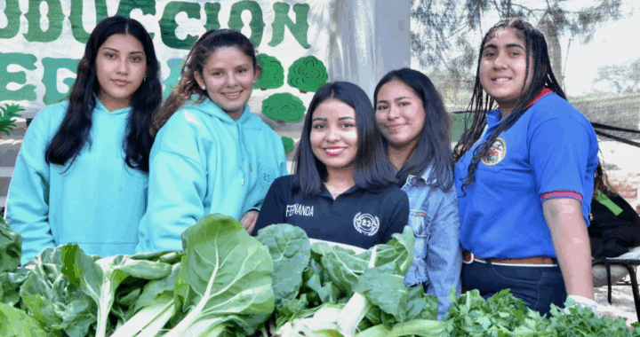 Salta se prepara para la Expo Agro Alimentos 2025