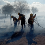 Intenso trabajo para sofocar incendios de pastizales en La Ciénaga y sectores aledaños