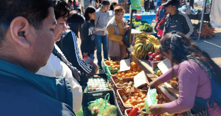 Récord de ventas en “El mercado en tu barrio” en Santa Lucía