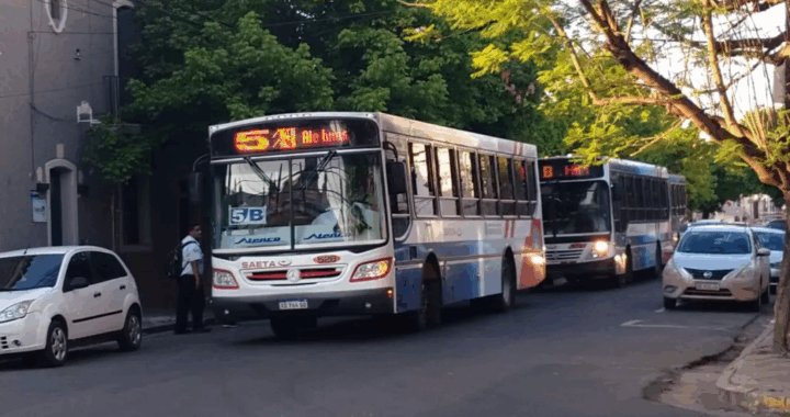 Este domingo, los niños viajarán sin cargo en SAETA
