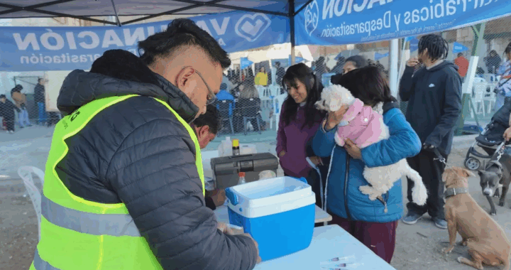 La próxima semana habrá vacunación antirrábica en Solidaridad y Fraternidad