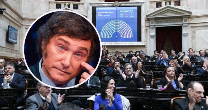Diputados rechazó el veto de Milei a la Emergencia en Discapacidad y la ley pasa al Senado