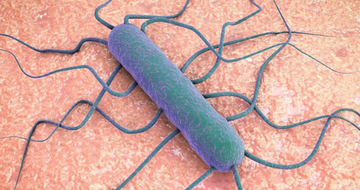 Salud advierte sobre la Listeriosis e insta a extremar cuidados en el consumo de alimentos