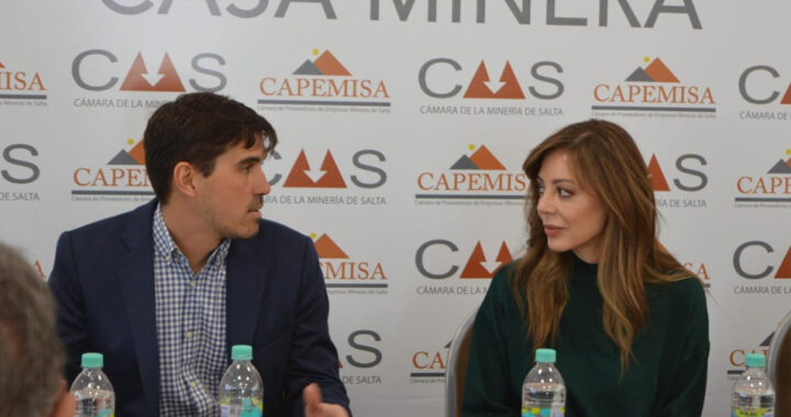 Flavia Royón: “Nuestro compromiso es con Salta, no con Buenos Aires”