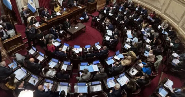 El Senado debate el veto a la Ley de Discapacidad y una reforma que limita los DNU presidenciales