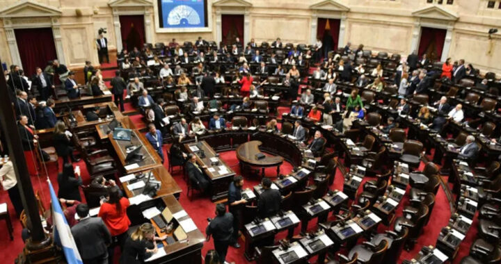 Diputados rechazó los vetos presidenciales y el Senado tendrá la última palabra