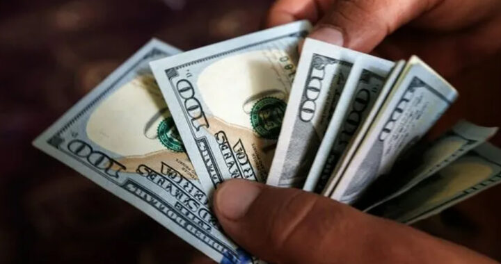 El dólar cerró con alzas y se mantiene cerca del techo fijado por el Gobierno
