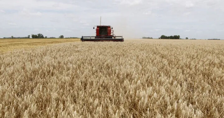 En medio de la tensión cambiaria, el Gobierno apuesta al agro con retenciones cero