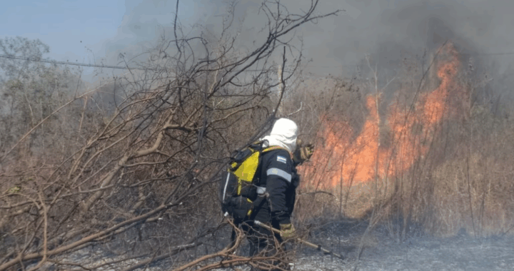 Alerta máxima en Salta por riesgo extremo de incendios forestales