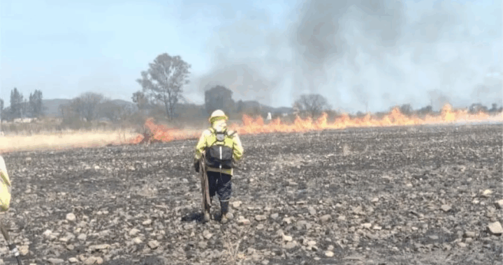 Dos focos ígneos fueron controlados en la zona sur de la ciudad