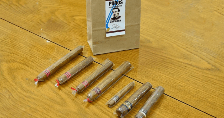 Productores de tabaco del Valle de Lerma buscan formalizar y consolidar los puros artesanales salteños