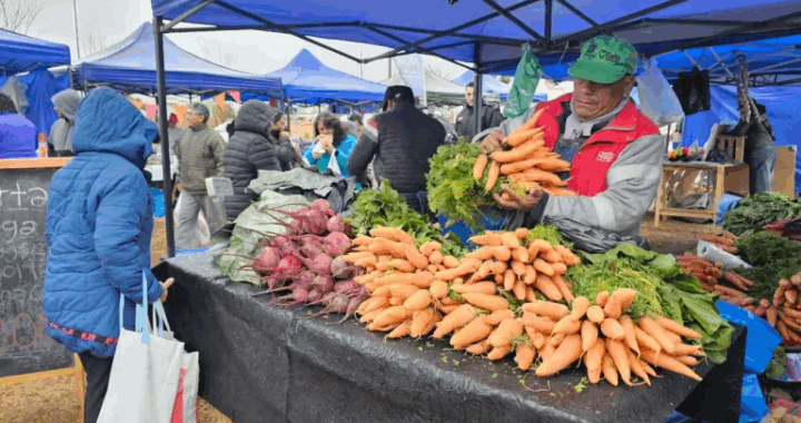 Vecinos de zona norte aprovecharon las ofertas de «El mercado en tu barrio»