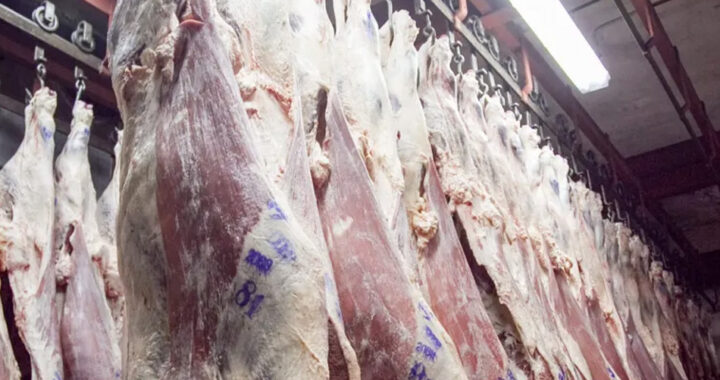 El Gobierno amplió la quita de retenciones: carnes bovinas y avícolas también quedan exentas