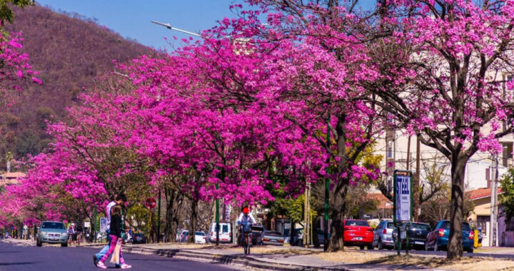 Con la primavera en marcha, opciones para disfrutar al aire libre en Salta