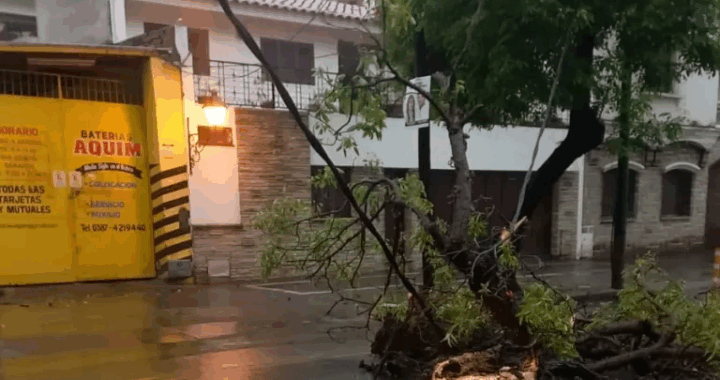 Se brindó asistencia en más de 30 incidentes tras la fuerte tormenta