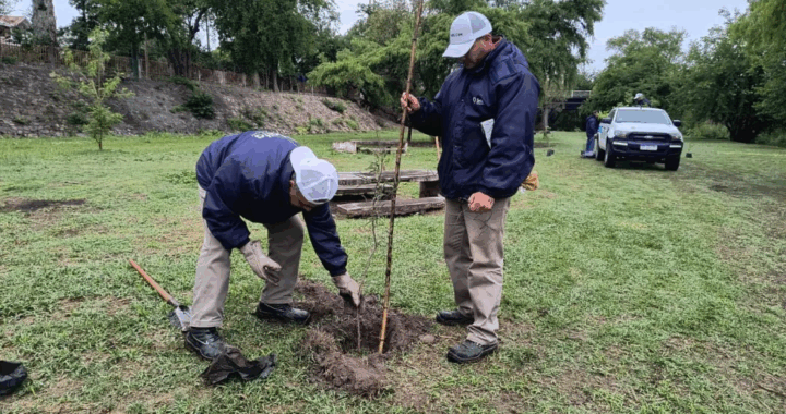 Salta se pone verde: plantaron 200 árboles en dos parques clave