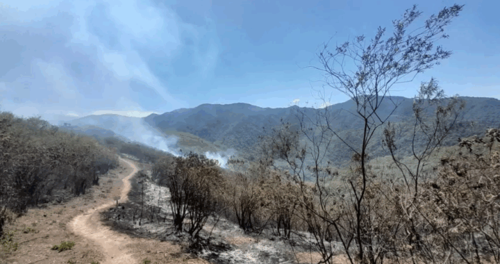 Incendio forestal en el Cerro Elefante: trabajan Bomberos y Defensa Civil en el operativo