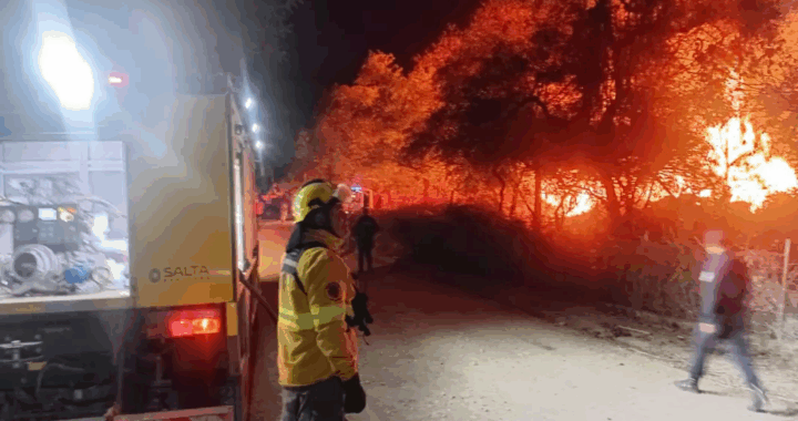 San Lorenzo: intenso operativo para controlar un incendio de pastizales en la planta municipal de chipeo