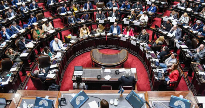 El Senado rechazó los vetos de Milei y sancionó leyes de emergencia en pediatría y financiamiento universitario