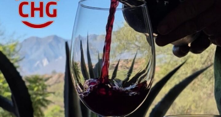 Salta se suma al “Finde Largo del Vino Argentino” con propuestas y experiencias enoturísticas