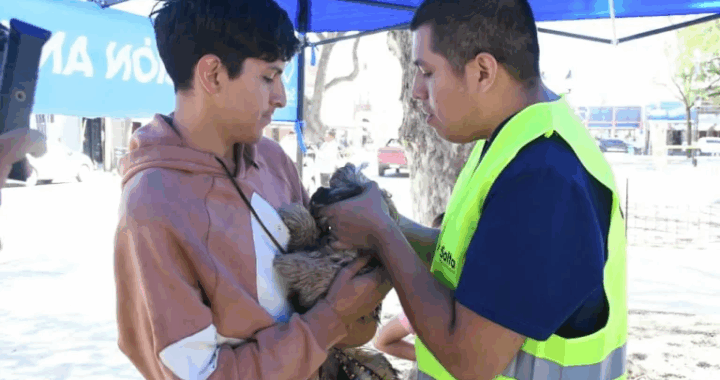 Bienestar Animal realizará vacunación gratuita en cuatro barrios de la zona sudeste la próxima semana