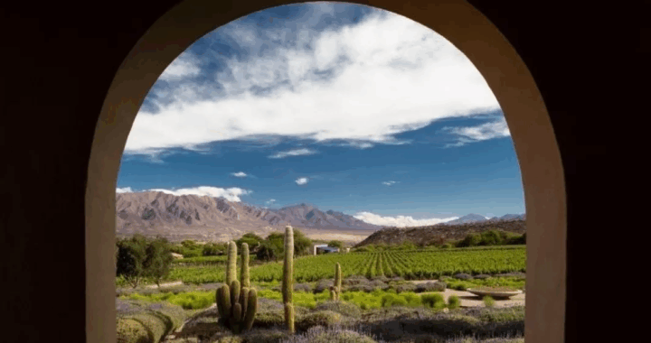 Bodega Colomé vuelve a poner a Salta en la élite mundial del enoturismo