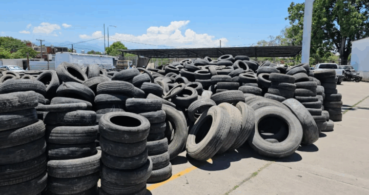 La Municipalidad realizó el 19° Neumatón y ya superó las 1.400 toneladas de neumáticos acopiados