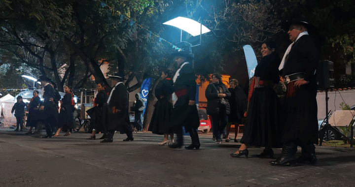Festejos por el Día de la Tradición en plaza Güemes y Paseos Artesanales