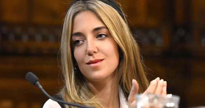 Escándalo en ANDIS: renunció una funcionaria tras el hallazgo de USD 700.000 en un allanamiento