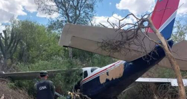 Impactante operativo: una avioneta boliviana con cocaína cayó en el sur de Salta