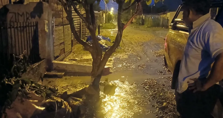 Temporal en Salta: rápido accionar municipal ante anegamientos y postes caídos