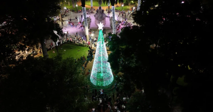 Con una gran fiesta en la plaza 9 de Julio, Salta encendió su árbol de Navidad y dio inicio a la temporada festiva