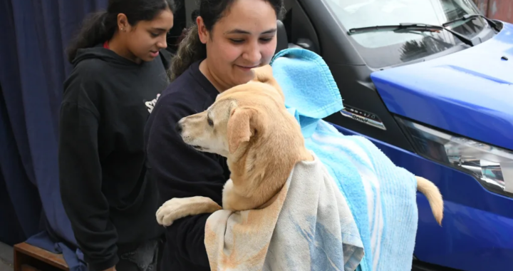 Nuevo operativo de castración en cuatro barrios la próxima semana